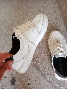 Hush Puppies White Casual Sneakers