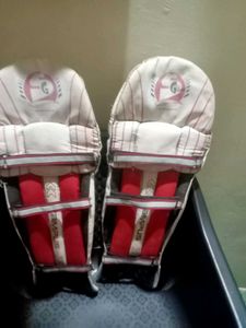 Campus Cricket Batting Pads