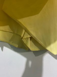 Women skorts