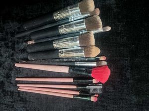 13 Makeup Brushes .