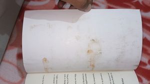 Hyper Focus BOOK