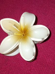 White Flower Hair Clip