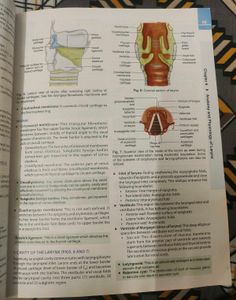 Disease Of Ear Nose And Throat Mohan Bansal (Ent)