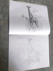 pencil shading/cushions