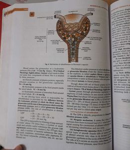 Class 11th MODERN&#39;s ABC+ Biology Part 1&amp;2 Combo