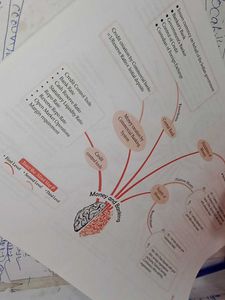 12th Economics, Mind Maps And On Tips Notes
