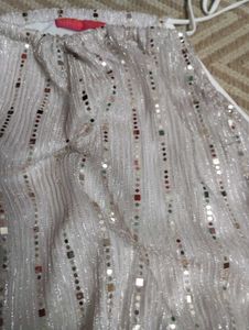 Silver Shiny Crop Top