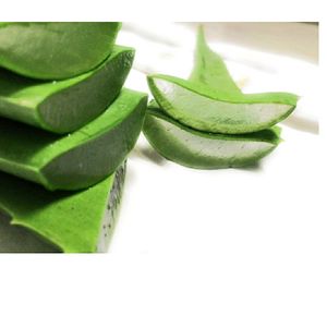 FRESH ALOEVERA , ORGANICALLY GROWN WITHOUT ANY CHEMICALS AND ETC, PURE AND NATURAL
