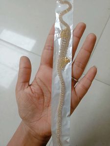 New Anklents