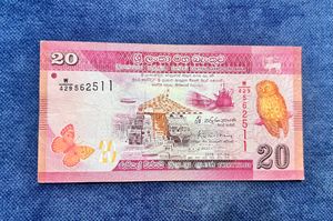 3 Foreign Notes