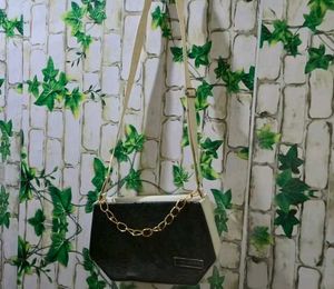 Charles &amp; Keith Clutch