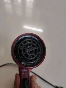Beauty Crown Parlour Hair Dryer