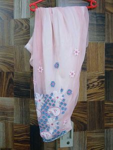 Elegant Embroidered Lucknowi Chicken Suit