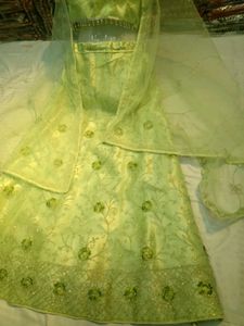 Elegant Green Lehenga Choli Set