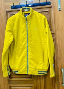 Yellow Jacket
