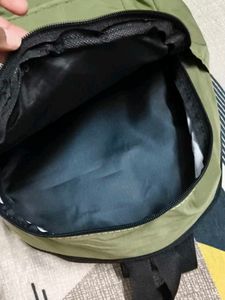 Olive Green Pittu Bag