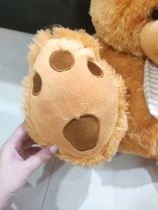 Cute Teddy - Giant Baby 🧸