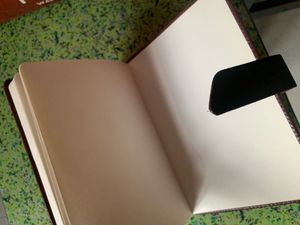 Brand New Diary