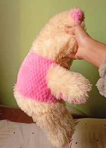 Cute Pink &amp; Cream Teddy Bear