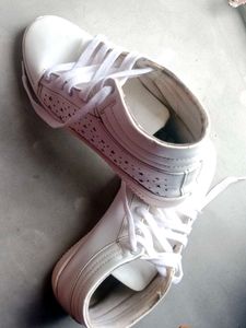 This Is The Very Stylish One