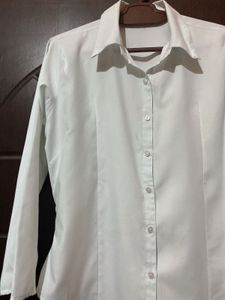 Basic Fitted Shirt