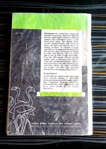 English Textbooks For Class 12th
