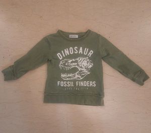Boys/Unisex H&M Military Green Dinosaur Sweatshirt