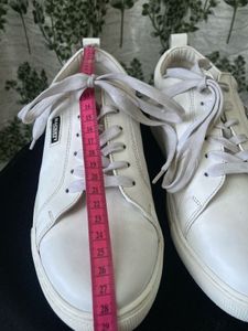 New Basic White Leather Sneaker