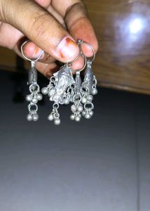 Silver Fish