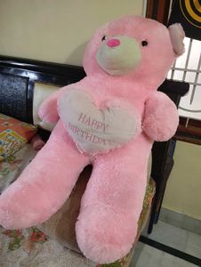 Teddy Bear