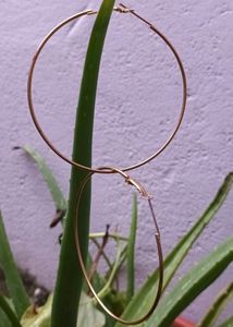 Gold Hoop Earrings
