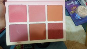 Imagic Blush Pallette
