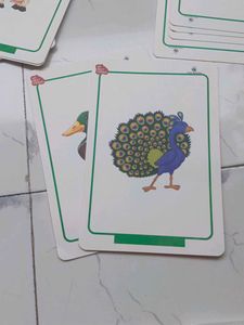Flash Cards