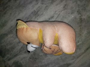Teddy For Gifting