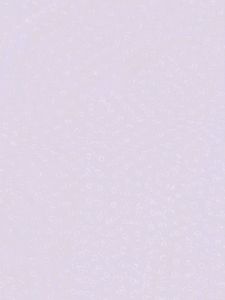 Silk Fabric