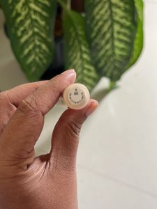 Makeup Bundle