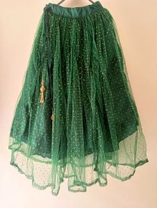 Green Embellished Lehenga Choli