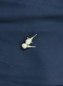 Warm Toned Cloth Pearl Studs