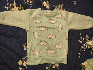 Dinosaur Print Sweatshirt