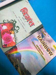 Bseb English,Hindi ,&amp; Brillant  Questions Books