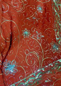 Elegant Orange Saree
