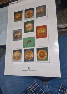 Indian Shields Book
