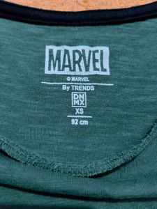 Hulk Graphic Tee (Men/Women)