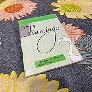 Vistas&amp;Flamingo (12th English Cbse)