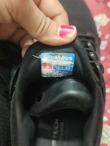 Campus Shoes