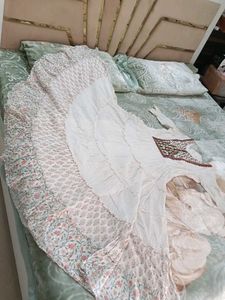 Elegant Embroidered gown