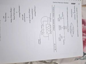 Physiology NEET PG Notes