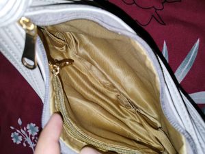 Zara Beige Bag