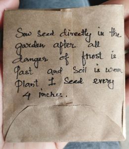 Vibrant FLOWER Seeds