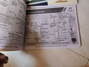 Mind Maps For Neet